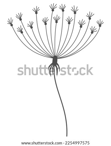 Dandelion flower in black linear style. Nature floral hand drawn stylized decorative blooming silhouette of fluffy seeds flower. Pencil sketched monochrome design element