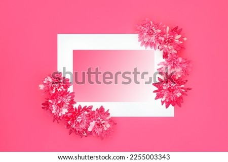 Vivid red chrysanthemum flower abstract background border. Floral, Spring Summer nature frame concept on pastel pink white gradient, top view, flat lay, copy space. 