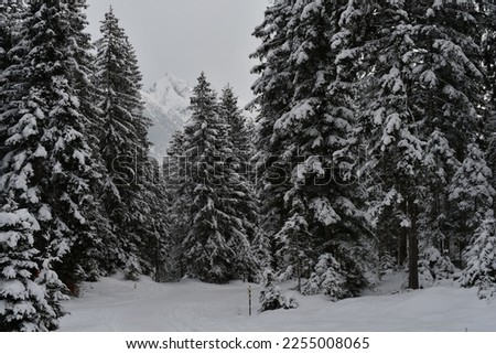 Beautiful landscape in winter around Seefeld in Tirol