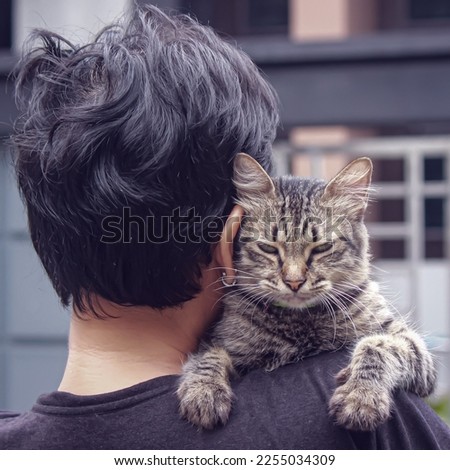 Black striped cat on a girl's shoulder