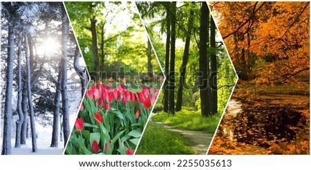 Four seasons. Collage design with beautiful photos of nature Royalty-Free Stock Photo #2255035613