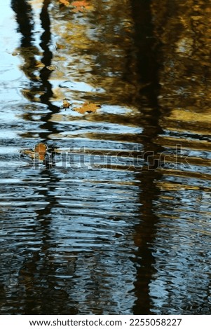 water texture colorful  reflection background 