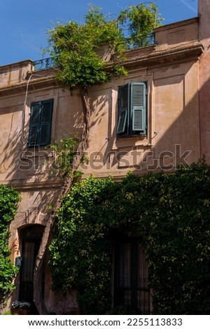 An old and charming house with a green plant growing on its facade and passing through the green windows. A picture of natural beauty and urban elegance