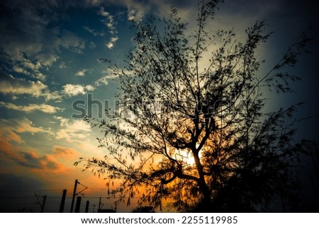 Orange colour full sunset tree image photo colour full tree sunrise Christmas festivals clouds filled with happiness blue sky fashion photography green tree beauty silhouette shots capture the gold 