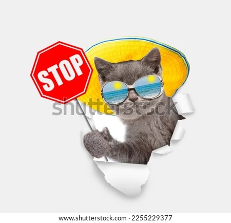 Cat wearing mirrored sunglasses and summer hat looking through the hole in white paper and showing stop sign