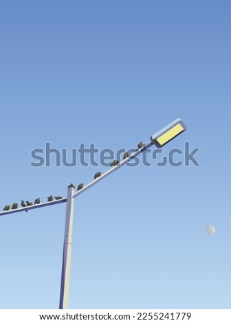 Birds sitting on a lantern in the evening against a blue sky with the moon.