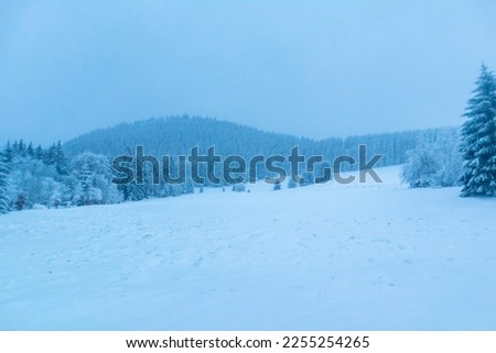 Beautiful winter landscape on the heights of the Thuringian Forest near Oberhof - Thuringia - Germany