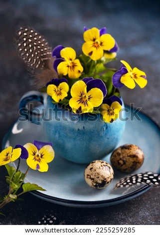 Creative floristic arrangement with purple, yellow pansy flowers and feathers in a blue coffee pot on dark rustic background. Homemade decoration for Easter