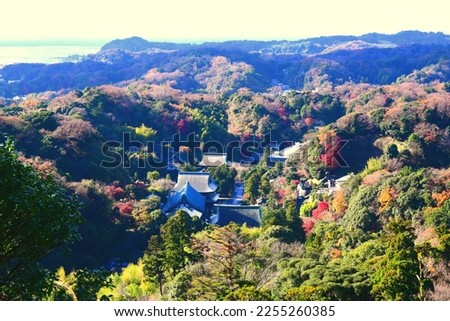 Japanese temple surrounded by a colorful forest of autumn trees