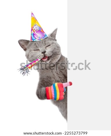 Happy cat wearing party cap blows in party horn and points on empty white banner. isolated on white background