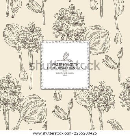 Background with eichhornia crassipes: water hyacinth plant, leaves and eichhornia crassipes flowers. Water hyacinth. Cosmetic, perfumery and medical plant. Vector hand drawn illustration