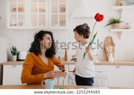 little curly boy in a white T-shirt and blue pants in kitchen gives his curly beautiful sad mother a tulip on mother's Day. cheerful boy dares his mother a flower at kitchen. Reconciliation. Family