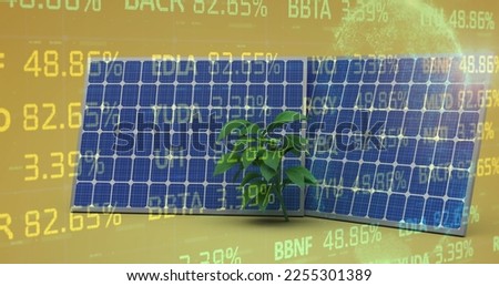 Image of stock market over solar panels and plant on yellow background. Global ecology, finances and digital interface concept digitally generated image.
