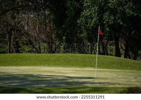  Close up Sunny golf course with golf club