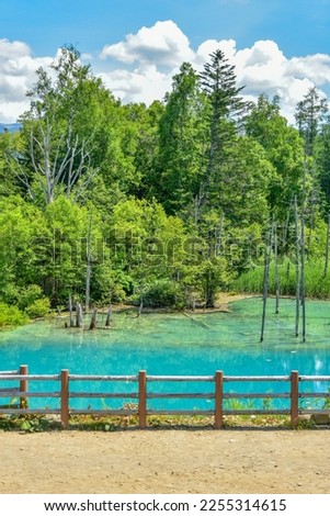 Beautiful scenery of Blue Pond in Biei, Hokkaido, Japan