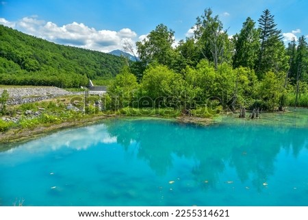 Beautiful scenery of Blue Pond in Biei, Hokkaido, Japan