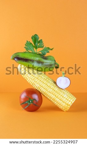 Vegetables balance on the table, copy space. Equilibrium floating food balance. Green vegetable floats on the table: of tomato, bell pepper, corn, radish on a orange background.