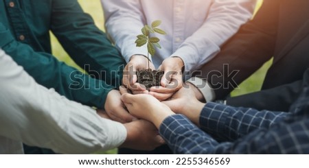 Businessmen work together to protect forest conservation or reforestation. world environment day grow environment and reduce global warming global ecological agriculture concept Royalty-Free Stock Photo #2255346569
