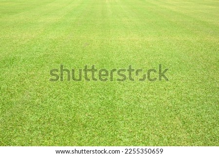 green grass field football field background