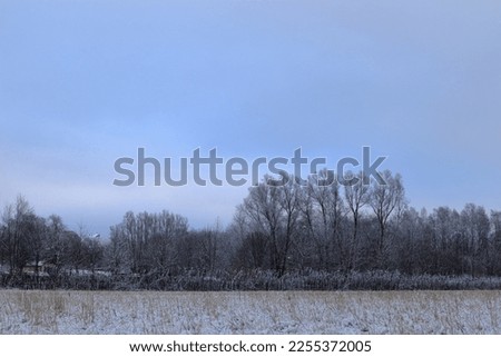 Frost covered branches during the winter. Scandinavian rural field. Gray sky in January. Stockholm, Sweden, 2023.