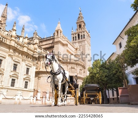 White horse in front of the cathedral and the Giralda of Seville Royalty-Free Stock Photo #2255428065