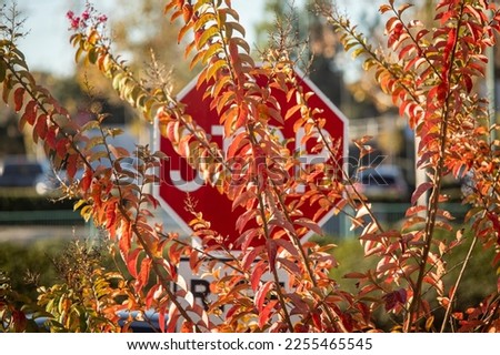 Stop Sign blocked by overgrowth of a bush 