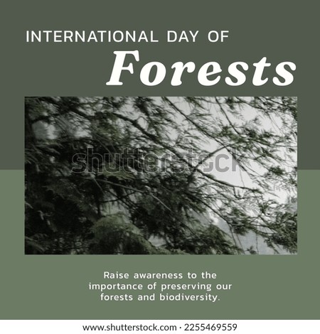 Composition of international day of forests text over forest on green background. International day of forests and celebration concept digitally generated image.