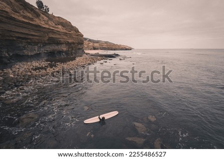 paddle board in the ocean
