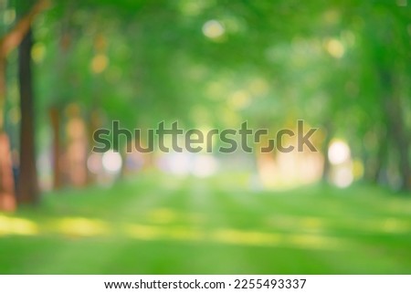 City lawn view. Green nature in spring eco garden. Summer abstract blur background. Urban trees leaves Light blurry out focus bokeh. Soft plant. Sunny sky foliage park grass Bright color sun day image Royalty-Free Stock Photo #2255493337