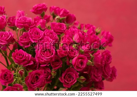 A beautiful bouquet of small pink roses on a pink background. Color of background.
