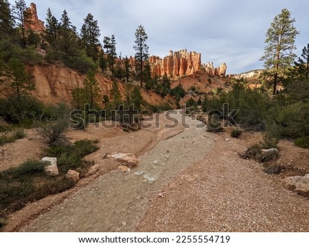 Mossy cave trail in Bryce Canyon National Park. Flowing water with green trees and hoodoos. Orange, white and red rocks.
