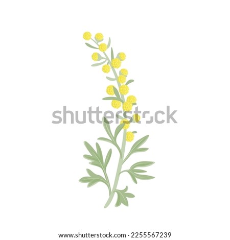 Wormwood plant with yellow flowers isolated on white background. Vector cartoon illustration of sagebrush. Healing herb.  Royalty-Free Stock Photo #2255567239