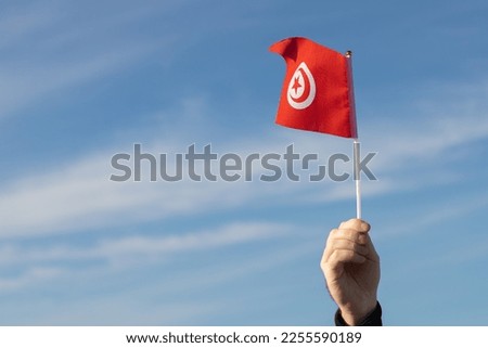 Tunisian flag in hand flutters in the wind against the sky Royalty-Free Stock Photo #2255590189