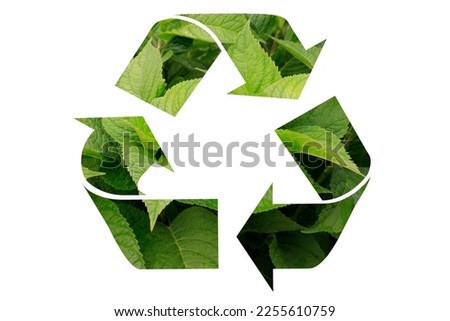 Recycling mark. Recycling mark mebius loop. Recycling. Environmentally friendly green symbol. Green foliage recycling sign isolated on white background. Royalty-Free Stock Photo #2255610759