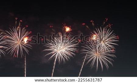 Various colorfull Fireworks in action for celebration new year background banner on dark night sky with space for text