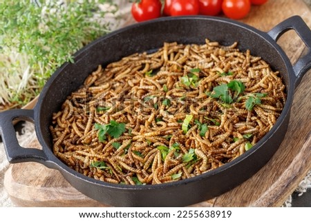 Cooked fried edible  mealworms with spice and herbs in cast iron frying pan on wooden board. Meal worms as alternative protein source in eating. Traditional asian food.