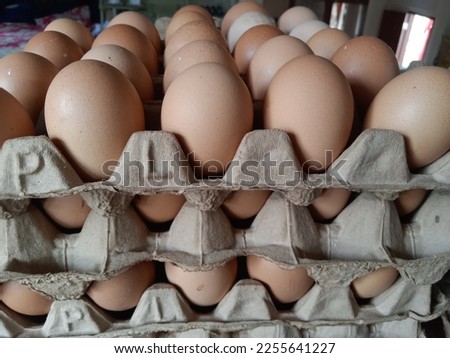 egg on paper egg rack,not focus