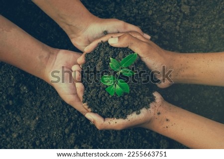 little boy's hand holding a green sapling earth day In the hands of trees planting saplings. Reduce global warming. Love the world concept. Royalty-Free Stock Photo #2255663751