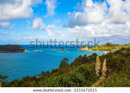 New Zealand, Pacific Ocean. Incredible clouds over the evening tide. Flowering reeds grow along the sides of the path. Road to the Cathedral Cove. The concept of  exotic, ecological and photo tourism