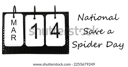 National Save a Spider Day - March 14 - USA Holiday