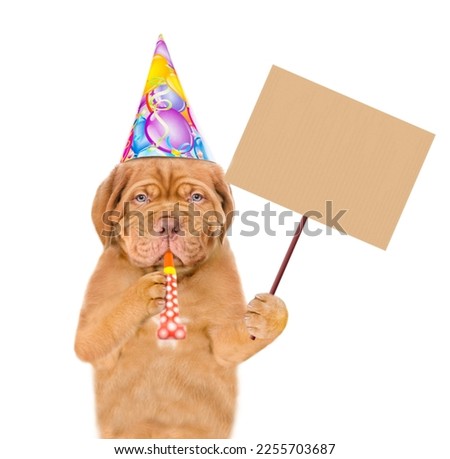 Mastiff puppy wearing party cap blows into party horn and shows empty placard. isolated on white background