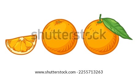 Orange and orange slice. Vector illustration of oranges isolated on white background. Royalty-Free Stock Photo #2255713263