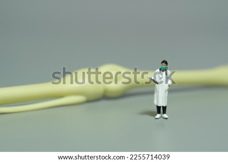 Miniature people toy figure photography. A female doctor standing beside tibia and fibula bone. Isolated grey background. Image photo