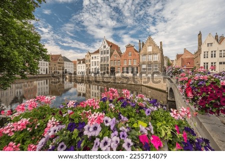 Bruges Belgium, city skyline at Spiegelrei Canal with summer flower Royalty-Free Stock Photo #2255714079