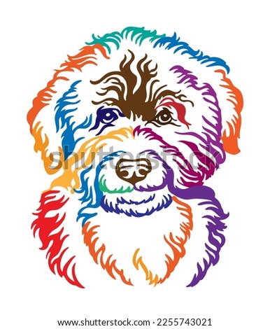 Barbet dog abstract multicolored contour portrait. Dog head close up vector illustration isolated on white. For decor, design, print, poster, sticker, t-shirt, cricut,tattoo, embroidery