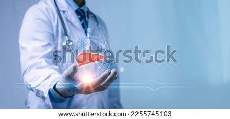 Doctor holding virtual interface with analysis of Liver hologram, checks the test result on the virtual interface, and analyzes the data. Liver disease, donation, innovative technologies, medicine. Royalty-Free Stock Photo #2255745103