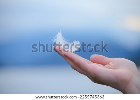 Young woman's hand holding white soft feather against morning sky, spiritual background, spirituality, purity and meditation concept Royalty-Free Stock Photo #2255745363