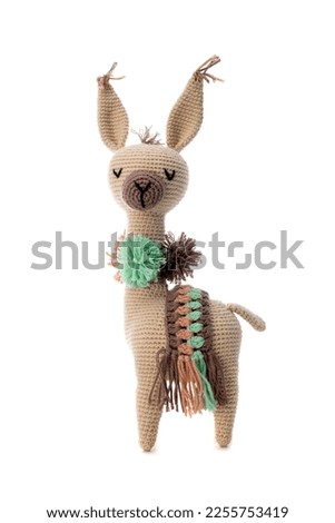 Amigurumi crochet animal isolated on white background Royalty-Free Stock Photo #2255753419