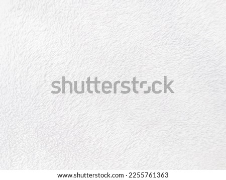 White clean wool texture background. light natural sheep wool. white seamless cotton. texture of fluffy fur for designers. close-up fragment white wool carpet.	 Royalty-Free Stock Photo #2255761363