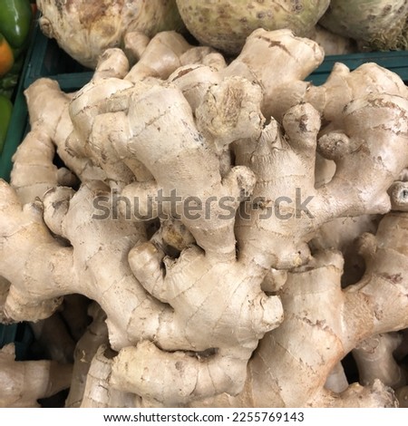 Macro photo ginger food. Stock photo fresh ginger background vegetable